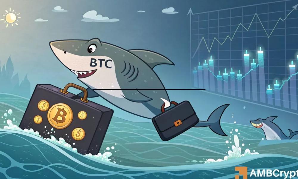 比特币回升至 11.1 万美元背后有两个因素，但这是一个牛市陷阱吗？