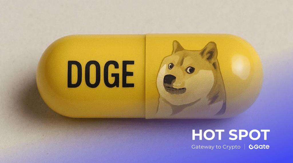 狗狗币行情预测：站稳 $0.21 关键支撑位，后续走势如何？