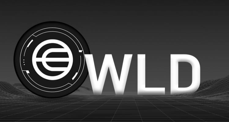 WLD 币归属于哪种生态？其生态体系是怎样的？