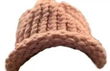 Bags 豪掷 80 万美元收购 WIF 原型帽：meme 发射台的“天价营销”赌局