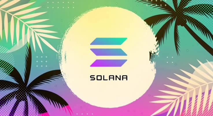 什么是Solana集群和验证者？它们如何维护网络安全稳定？