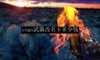 csgo武器改名卡多少钱