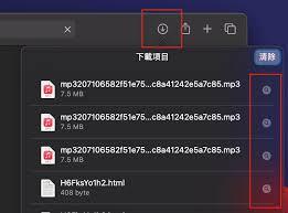 Safari下载文件默认保存位置如何更改