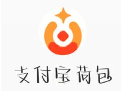 支付宝小荷包自动攒怎么关闭 支付宝小荷包自动攒的钱在哪里