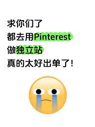 Pinterest怎么看浏览记录