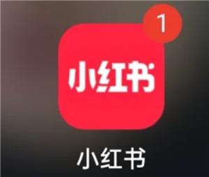 小红书有消息提示点进去什么都没有怎么回事 小红书有消息提示怎么关闭