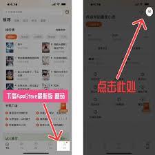 如何去除番茄小说广告