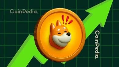 Tuttle Capital 推出 Bonk Income Blast ETF：BONK 价格今日上涨 4%