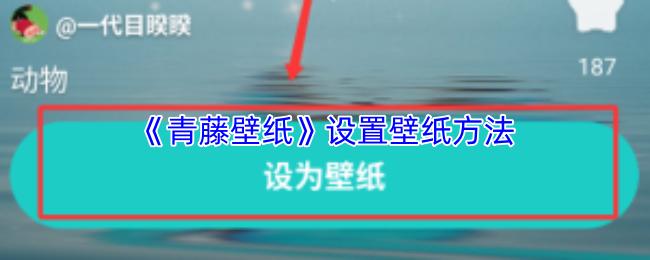 青藤壁纸 设置壁纸方法