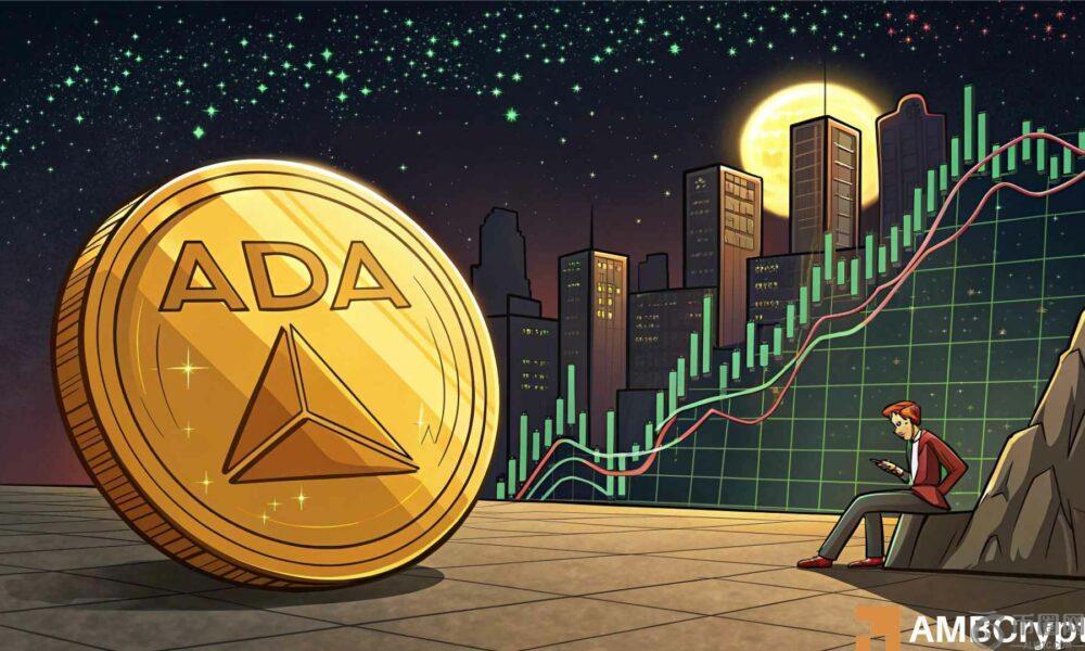 在鲸鱼移动 6900 万次之后，卡尔达诺能否捍卫这一关键支撑位