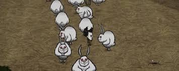 饥荒联机版机缘兔子有什么形态