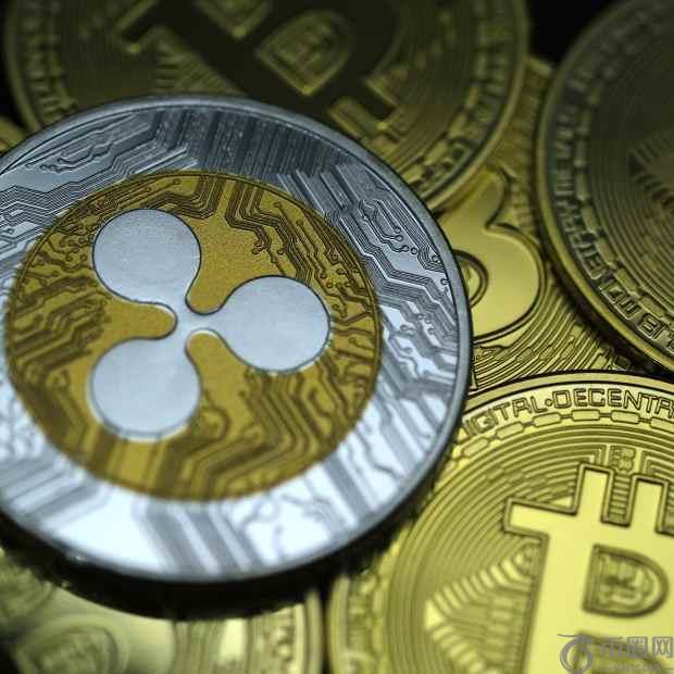 Reserve 的新代币将为 95% 的加密货币市场提供敞口