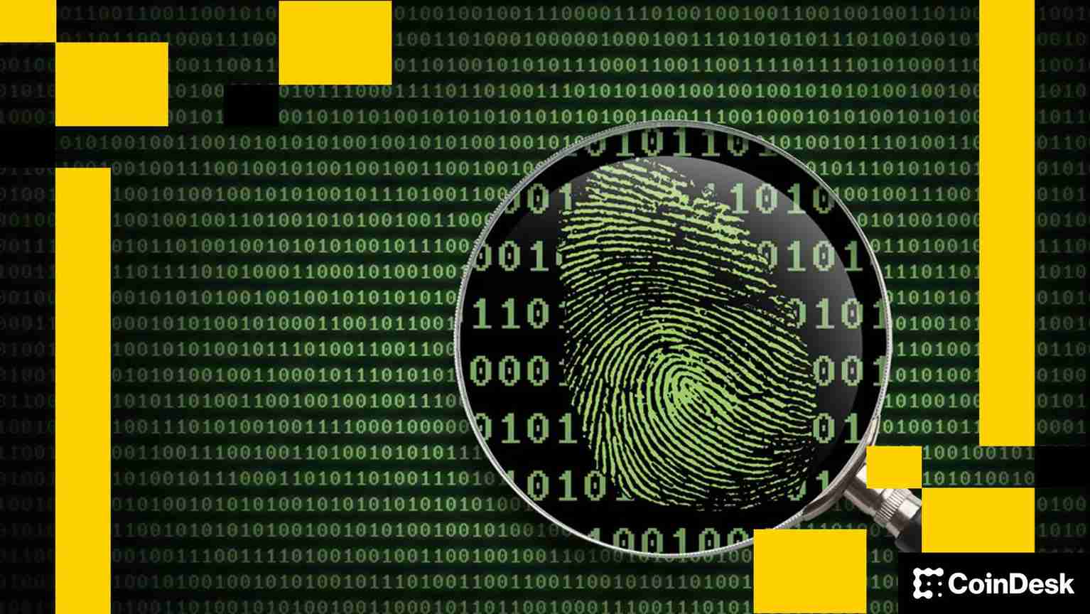 中国女子因涉嫌69亿美元比特币诈骗在英国被定罪