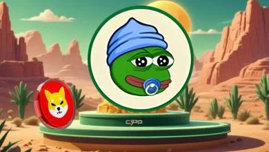 2025 年将有 6 种 Meme 币将 10,000 美元变成 100,000 美元：柴犬 (SHIB) 不会是其中之一