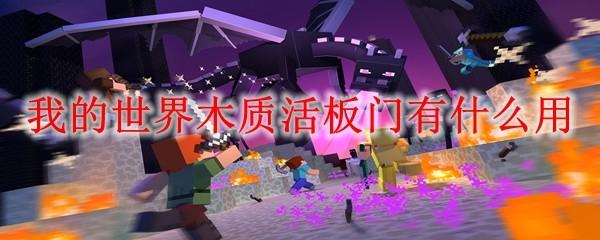 我的世界木质活板门有什么用2025