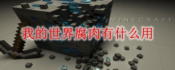 我的世界腐肉有什么用2025