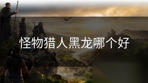 怪物猎人黑龙哪个好