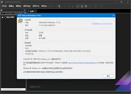 哪里有VMware Workstation 17Pro密钥分享