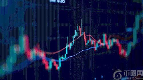 比特币鲸鱼活动：解读市场情绪的关键指标及其对机构投资者的战略价值