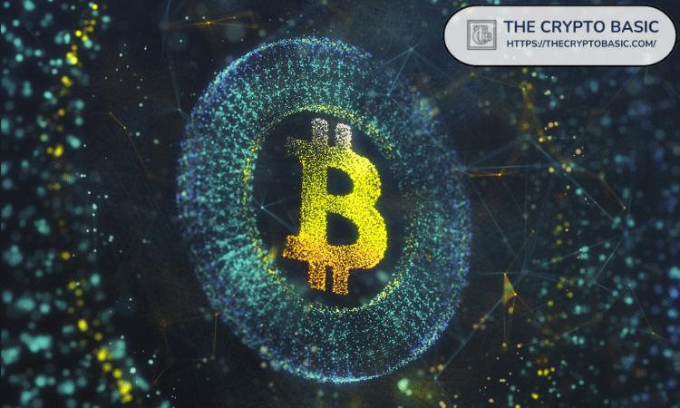 IBM 推出“数字资产天堂”平台，帮助银行和政府管理数字资产运营