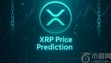 XRP价格预测：专家称实用功能或将价格推高至5万美元