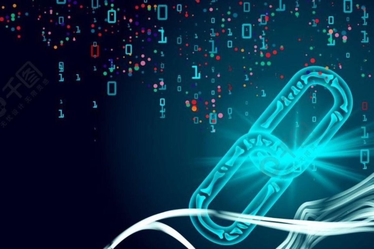 柴犬鲸活动量达到六月以来最高水平