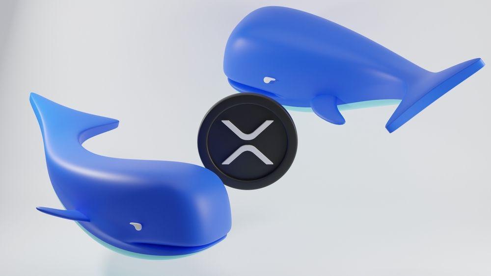 TOXR ETF 的推出引发巨鲸交易活跃，6 亿枚 XRP 在几分钟内被转移。