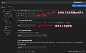 Vscode如何设置自动检测