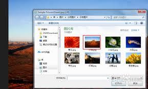HoneyView如何开启捕捉窗口