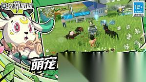 口袋新旅途秘境机制怎么玩