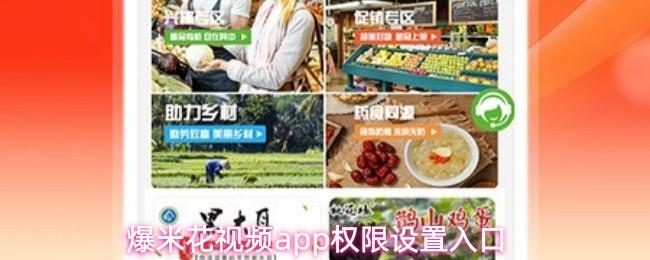 爆米花视频app权限设置入口