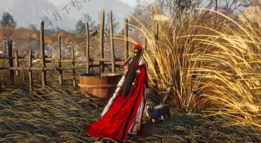 燕云十六声 滹沱猫戏位置一览