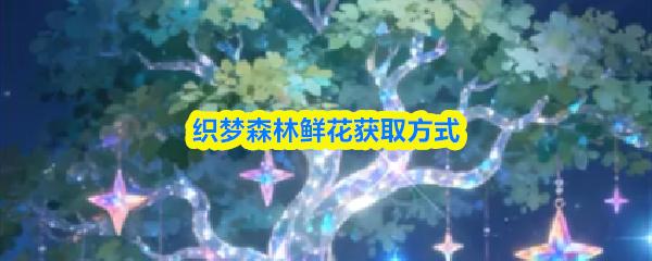 织梦森林鲜花获取方式