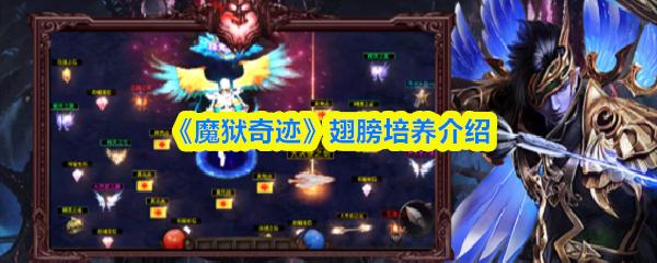 魔狱奇迹 翅膀培养介绍