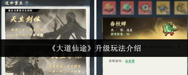 大道仙途 升级玩法介绍