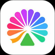 大麦app实名认证失败怎么办