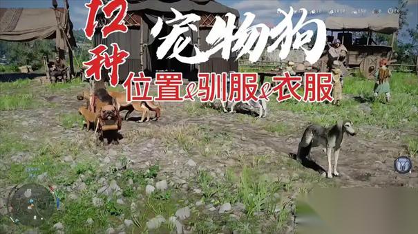 红色沙漠宠物服饰获取方法