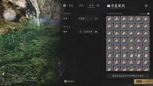 燕云十六声背包如何整理