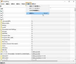 Everything搜索如何排除系统文件