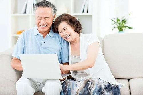 媳妇找茬独守老人改善老人生活质量怎么通关