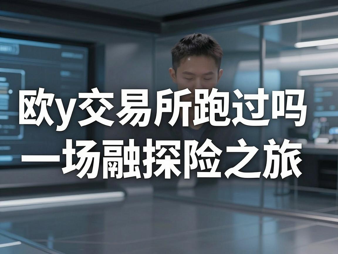 欧y交易所跑过吗，一场金融探险之旅