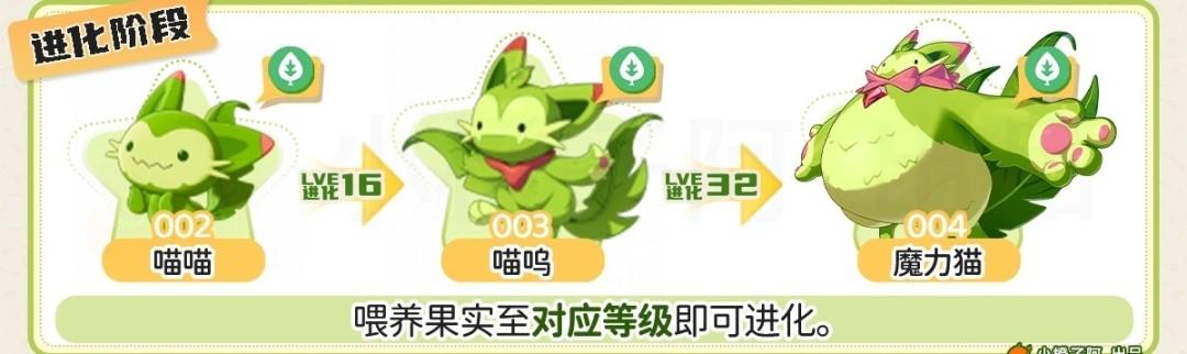 洛克王国世界魔力猫怎么进化