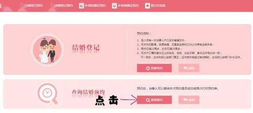 红色沙漠如何购买登记所有家畜