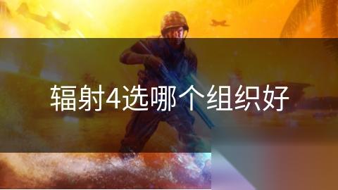 辐射4选哪个组织好