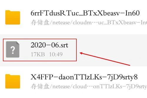 怎样打开SRT文件